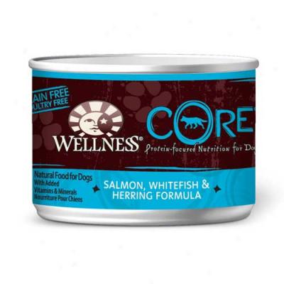 Wellness Core Salmon, Whitefish And Herring Recipe 6oz Case Of 24 Cans