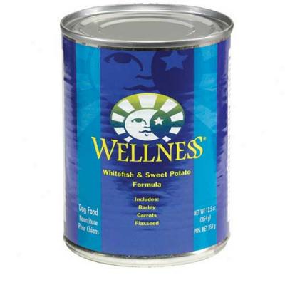 Wellness Fish And Sweet Potato Recipe 12.5oz Case Of 12 Cans