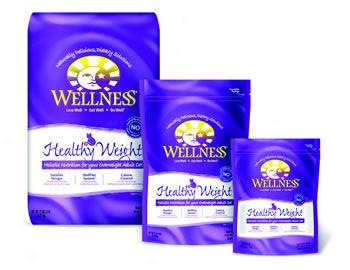 Wellness Healthy Weight Adult Dry Cat Food 2.5 Lbs