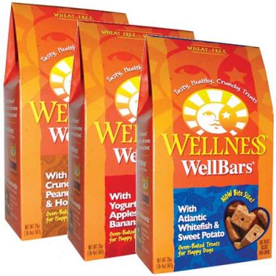 Wellness Wellbars Lamb And Apple 20oz