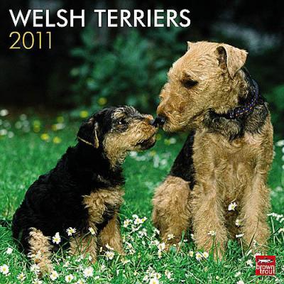 Welsh Terrier 2011 Calendar