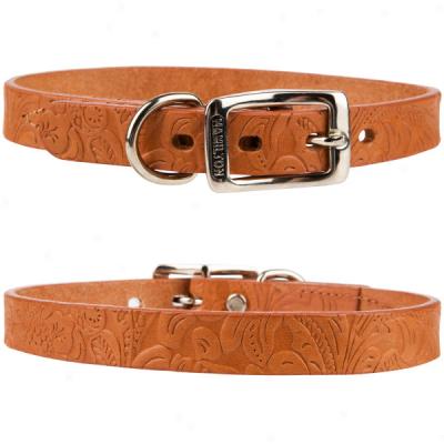 Western Tooled Leather Cpllars From Hamilton