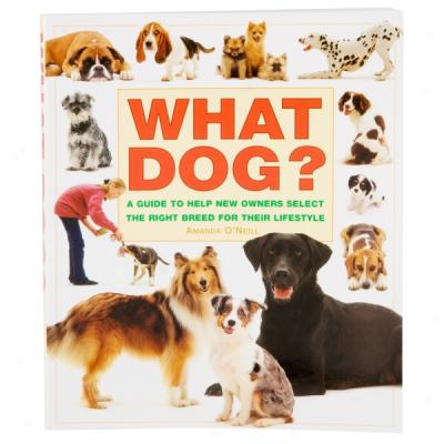 What Dog?: A Guide To Help Starting a~ Owners Select The Right Breed For Their Lifestyle