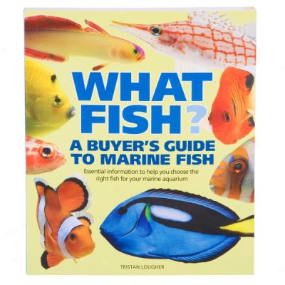 What Fish? A Buyer's Guide To Marine Fish