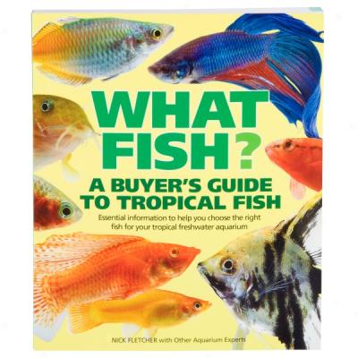 What Fish? A Buyer's Guide To Tropical Fish