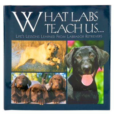 What Labs Teach Us... Life's Lessons Erudite From Labrador Retrievers