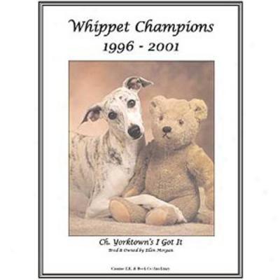 Whippet Champkns, 1996-2001