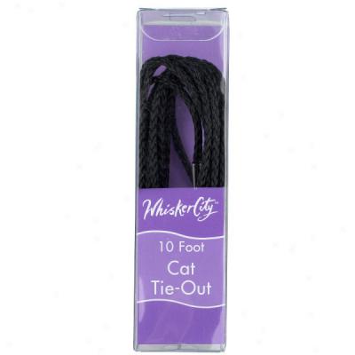 Whisker City? 10' Cat Tie-out