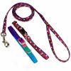 Whisker City Adjustable Collars & Special Paw Lead