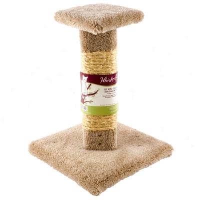 Whisker City? Kitty Cactus With Sisal & Top