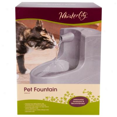 Whisker City? Pet Water Fountain And Accessories