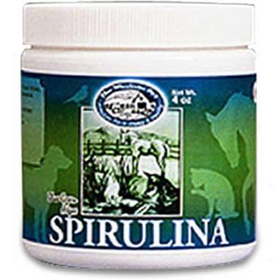 Wholsitic Pet Spirulina 4oz