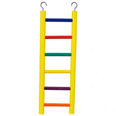 Wood Bird Ladder