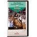 World Equestrian Games Video - Show Jumping