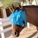 Wrangler Breakaway Fly Mask For Horses By Professional's Choice