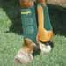 Wrangler Splint Boots - In Hunter Green