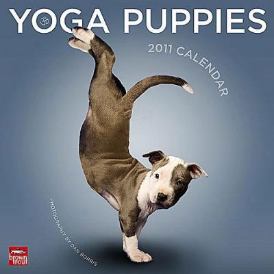 Yoga Puppies 2011 Calendar