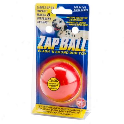 Zap Globe Flash 'n Sound Dog Toy