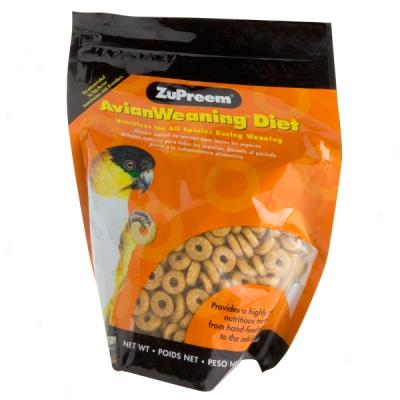 Zupreem Avianweanihg Diet