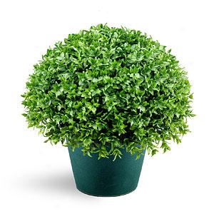 13in Faux Earth Japanese Holly Bush
