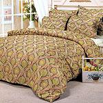 200tc Montclair Paisley Duvet Cover & Shams Placed