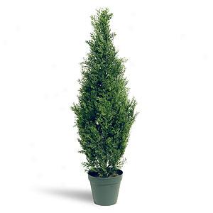 36in Faux Arborvitae Tree