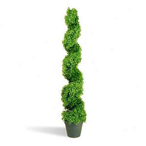 48in Faux Boxwood Slim Spiral