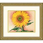 A Sunflower From Maggie Framed Art Print