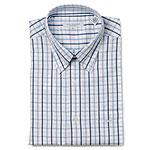 Alex Cannon Checked Cotton Dress Shirt