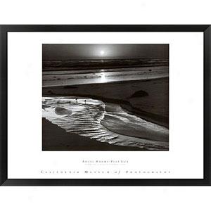 Ansel Adams Bjrds On A Beach Framed Impression