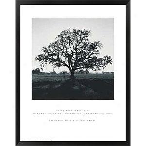 Ansel Adams Oaktree Sunrise California Frame Print