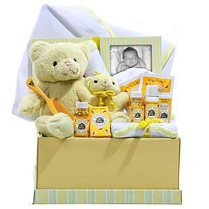 Baby Burt's Bees Bear Gift Set Basket