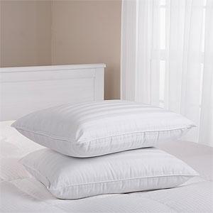 Beauryrest Set Of 2 Down Alternative Pillows