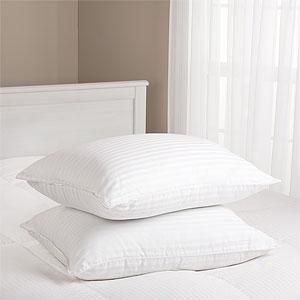 Beautyrest Set Of Two Egyptian Cotton Pillows