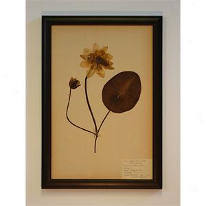 Bloomed Lily Framed Botanical Leaf Art