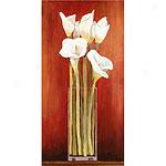 Calla On Red Canvzs Art By Ann Parr