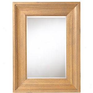 Cooper Classics Benningtoj Chinese Elm Mirror