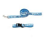 Daisy Collection Large Breed Dog Walkin 2pc Set