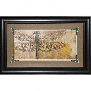 Dragonfly On Soft and clear  Framed Print