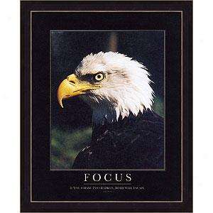 Focus Framed Print