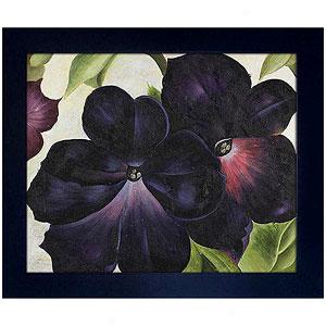 Georgia O'keeffe Black & Purple Petunia