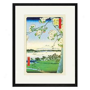 Hiroshige, Cherry Blossoms Framed Print