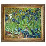 Irises Framed Oil Painting On Canvas yB Front Gogh