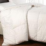 Joeph Abboud Supima Cotton Down Comforter