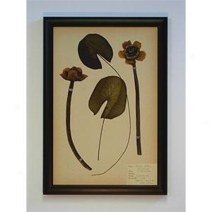 Lilies & Lily Pads Pair Framed Botanical Leaf Art