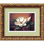 Magnolia Vignwtte I Framed Art Print By Fran Di Gi