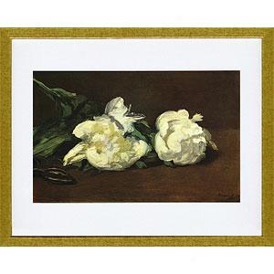 Manet Still Life White Peony Framed Print