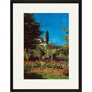 Monwt Garden Bloom At Saint-adresse Framed Print