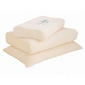 Nature's Sleep Vitex3 Molded Memory Foam Pillow