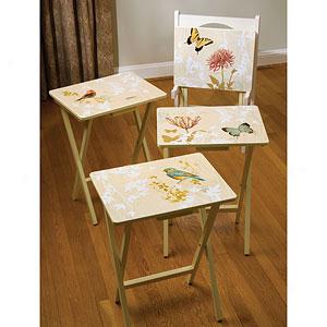 Natures Wonder Tv Trays Set Of 4 With Stand